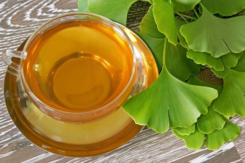 Cup of herbal tea with fresh ginkgo leaves on wooden background Cup of herbal tea with fresh ginkgo