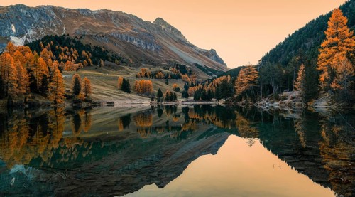Autumn in the Swiss Alps with a view of Lake Palpuogna near the Albulapass in the Grisons