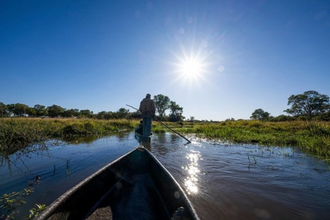 Mokoro, dugout canoe with staker in the Okavango Delta, Khwai Northwest District, Moremi Game