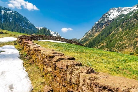 Cheerful landscape with a green meadow full of crocuses and spots of snow, in the Alps mountains