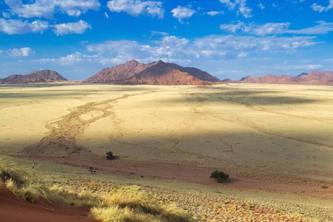 Landscape of the plains around Sossusvlei in Namibia. Travel and tourism