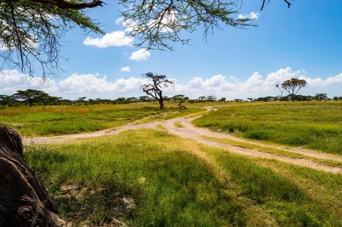 View of the trails and savannah of Samburu Park in central Kenya