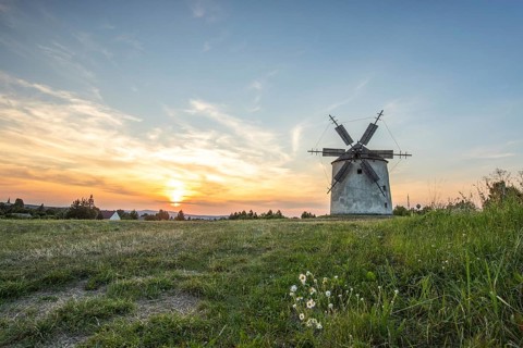 Windmill with wooden sails in a landscape with fields. Meadows and flowers appear in the sunset.