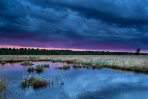 Sunset during storm over swamp, Fochteloerveen, Netherlands