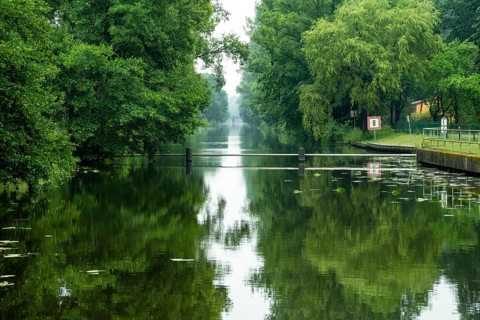 Travelling by kayak in the Lower Spreewald 3