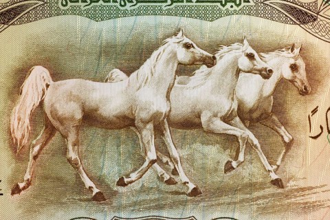 Arabian Horses on 25 Dinars 1978 Banknote from Iraq