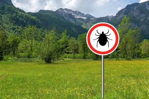 Tick insect warning sign on infected meadow. Lyme disease and meningitis transmitter