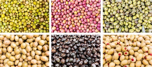 Photo collection of different colorful tasty olives