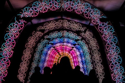 Light of the tunnel (Christmas illuminations). Shooting Location: Tokyo metropolitan area