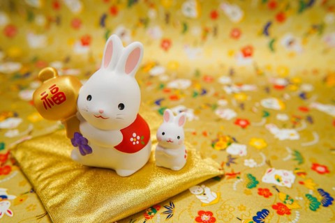 Rabbit year New Year material (New Years card). Shooting Location: Yokohama-city kanagawa
