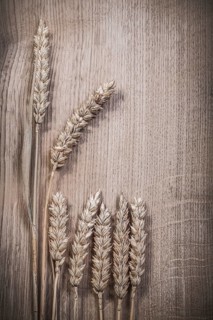 Composition of wheat rye ears on wooden board