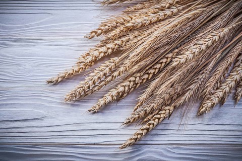 Heap of golden wheat rye ears on wooden board food and drink concept