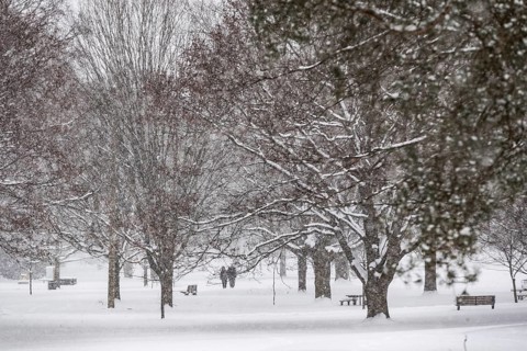 Heavy snow squalls of lake-effect snow falls over Springbank Park in London, Canada. Environment