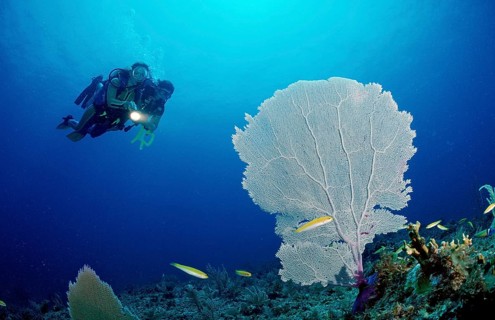 Diving instructor with student, Punta Cana, Caribbean Sea, Dominican Republic, Central America