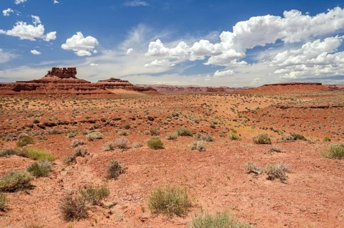 Scenic desert landscape with red mesas in the Valley of the Gods in Utah, United States, North