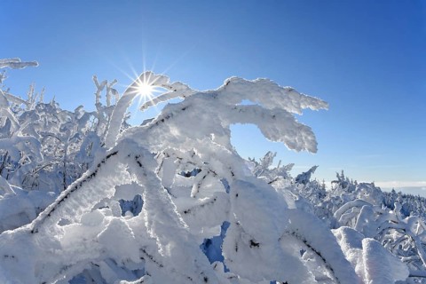 Winter landscape with hoarfrost, Hornisgrinde, Central Black Forest nature park Park, Ortenaukreis,