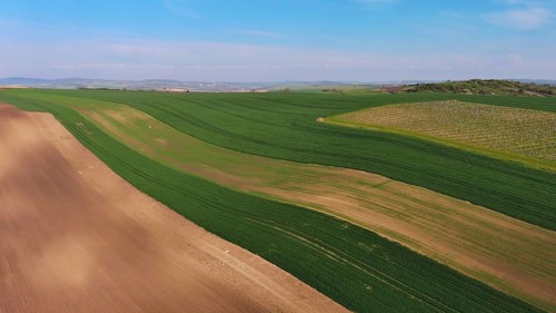 Aerial view of amazing green wavy hills with agricultural fields and vineyards in spring. South