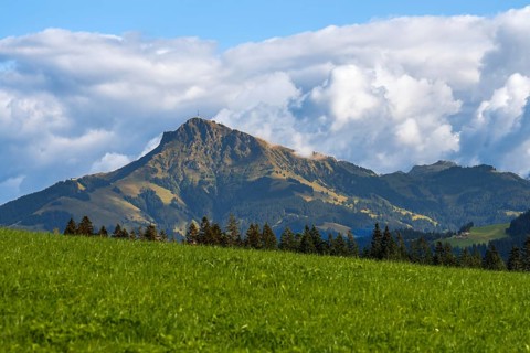 View to the Kitzbüheler Horn mountain in the alps of Austria