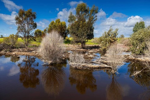 Landscape with wetland in the outback, Western Australia, Australia, Oceania