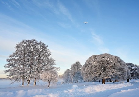 Beautiful winter landscape in the park on a sunny day, airplane in the blue sky, trees and bushes