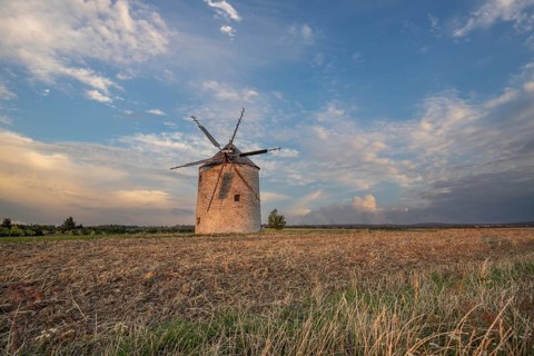 Windmill with wooden sails in a landscape with fields. Meadows and flowers appear in the sunset.
