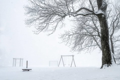 White winter landscape with a big leafless tree and an empty playground covered by snow, while