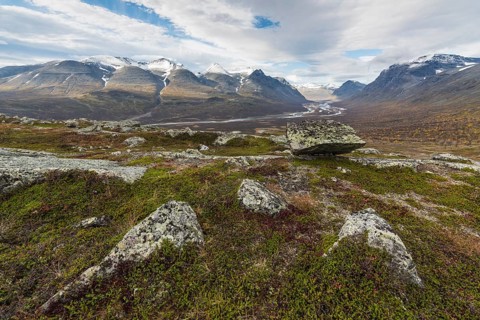 View of Rapadalen, Sarek National Park, Laponia World Heritage Site, Norrbotten, Lapland, Sweden,