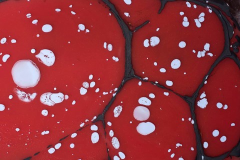 Beautiful abstract art of Ebru marbling painting techniques on water with paints