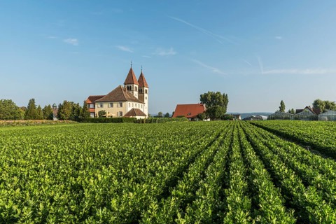 Church of St Peter and Paul, Reichenau Island, UNESCO World Heritage Site, Niederzell, Lake