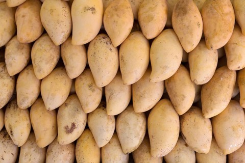 Fresh yellow mango on the market in Thailand