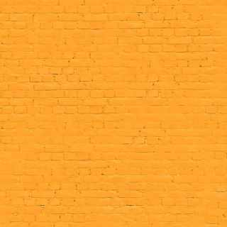 Uniform orange painted brick wall creating a vibrant backdrop.Belarus