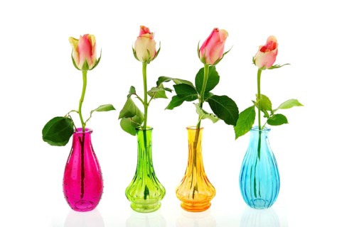 Colorful glass vases with pink roses isolated over white background