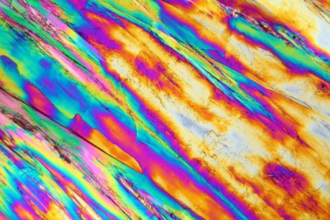 Vitamin B crystals under the microscope