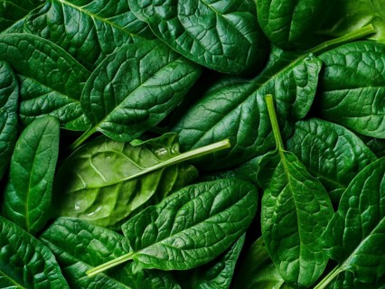 Pattern from baby spinach leaves. Fresh green baby spinach. Top view or flat lay. Can use for