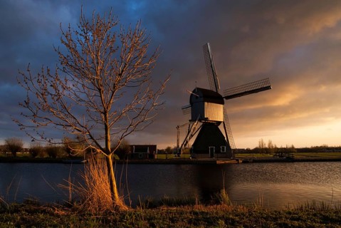 Kinderdijk windmill lights up in warm evening light