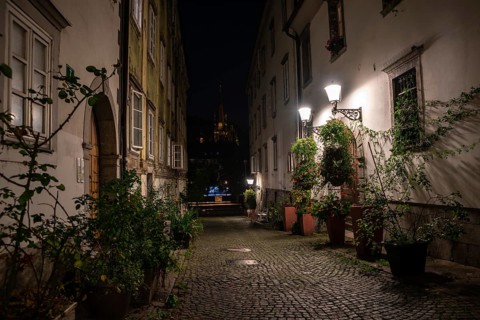 Scenic little Krizevniska alley in Ljubljana illuminated at night, arranged with plants at the