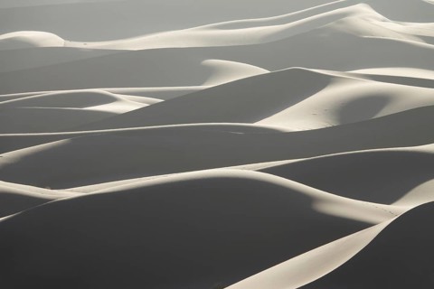 Background with beautiful structures of sandy dunes at sunrise in the Sahara desert