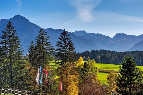 Green meadows, Allgäu Alps and mixed forest with colourful flags near Ofterschwang, Allgäu,