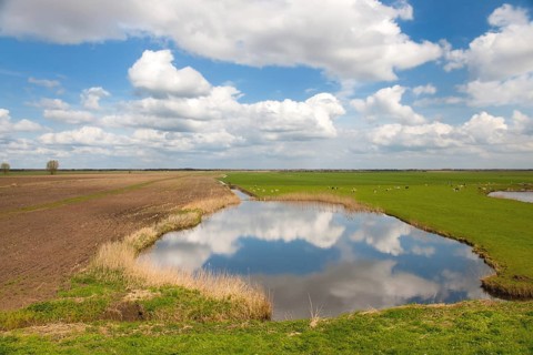 Typical Dutch landscape with lake and clouds in the polder