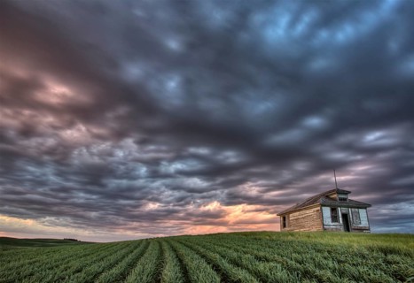 Sunset and durum wheat crop storm clouds