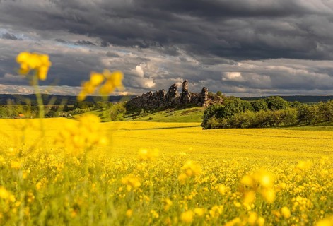 Devil's Wall near Thale in the Harz Mountains with a rape field in bloom
