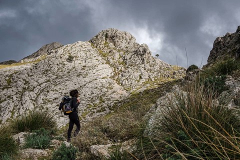 Ascending to Serra Des Teixos, Escorca, Majorca, Balearic Islands, Spain, Europe