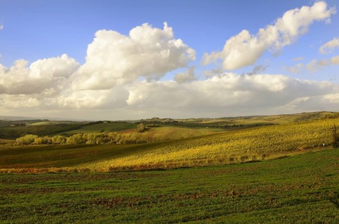 A beautiful tuscan landscape with autumnal colours