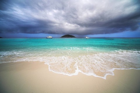 Tropical rain. Gale on the tropical island