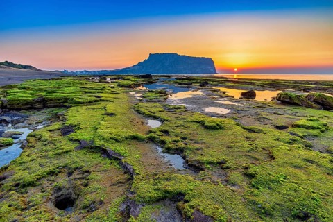Jeju Island South Korea, Sunrise nature landscape at Jeju Do Seongsan Ilchulbong