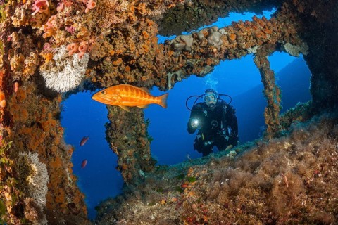 Scuba Diver at Vassilios Wreck, Vis Island, Mediterranean Sea, Croatia | Scuba Diver at Vassilios