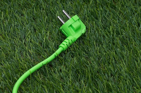 The photo shows a piece of lawn with a green power cable
