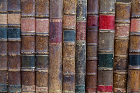 Antiquarian bookshop on the shelf
