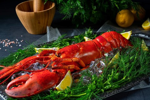 The cooked lobster on ice