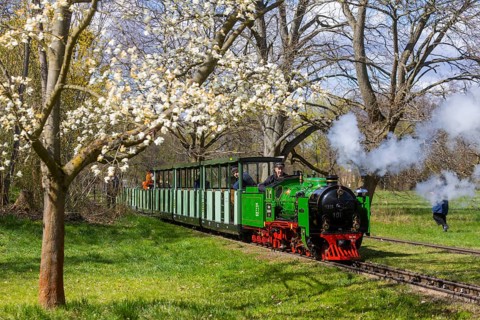 The popular small railway in Dresden's Great Garden has been in operation for 75 years. The steam
